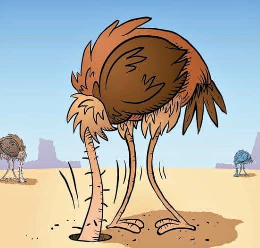 Cartoon drawing of an Ostrich with its head in the sand. Used in the article Affiliate Marketing for Beginners. The 7 Step Process.