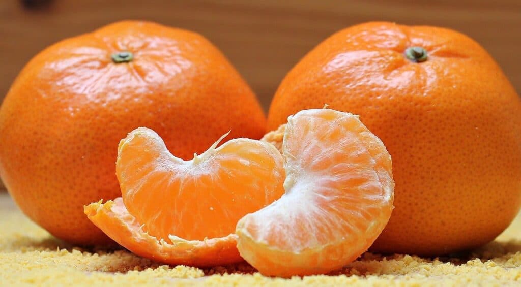 A photo of two oranges, to try and illustrate a product comparison in the article Wealthy Affiliate Review: Url Is wealthy affiliate worth the money?. 
