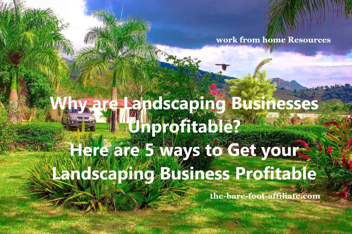 Why are landscaping businesses unprofitable?
