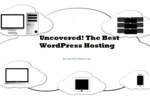 Uncovered! The Best WordPress Hosting. The Big  Corporate vs Geeks