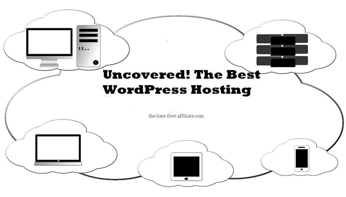Uncovered! the Best WordPress Hosting
