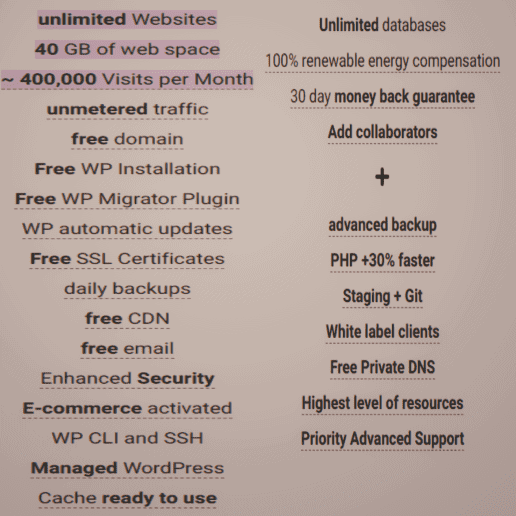 Details of the Siteground "GoGeek" WordPress Plan at $39.99 mth. Used in the article,  Uncovered! The Best WordPress Hosting