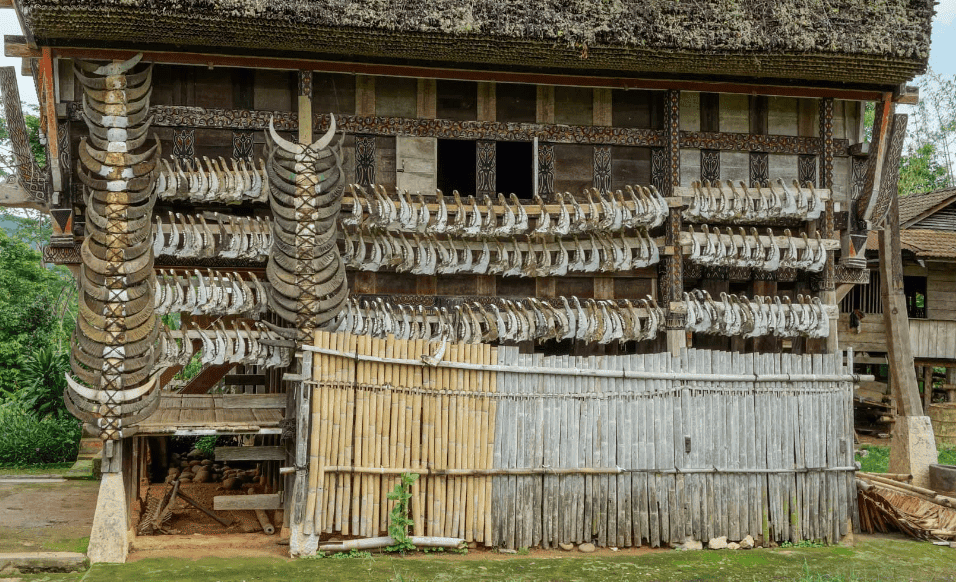 Buffalo horns and jaws on the side of a Torajan's home in Tana Toraja. This signifies his status in that society. Used in the article Death and Dying in Torajan Culture.