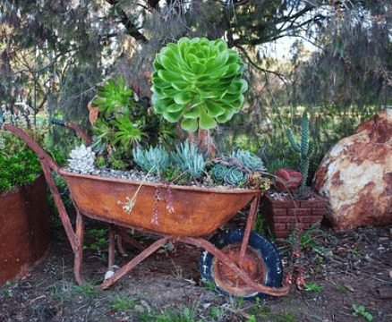 Old Wheelbarrow used as a pot for growing plants. Shown in the article The 8 Most Neglected Landscaping Tips that Most Home DIY Landscapers Ignore.