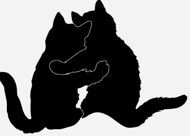 A silhouette of two cats hugging. Used in the article How to Master the art of Connecting Love