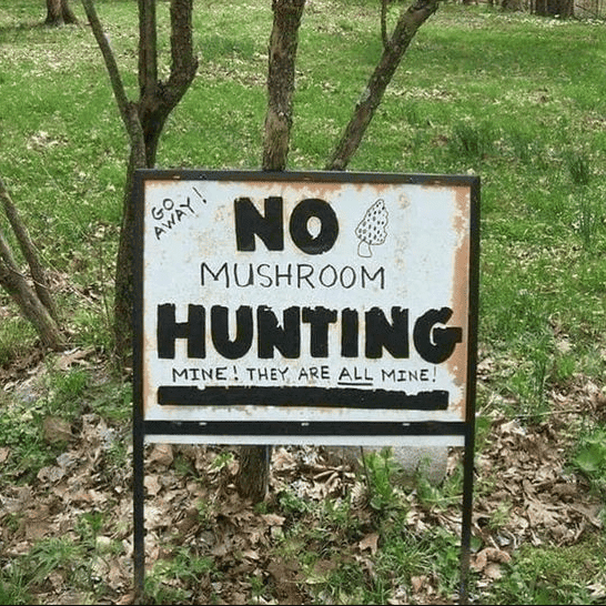 A no mushroom hunting sign. Used in the article 11 Unusual hobbies you might try.
