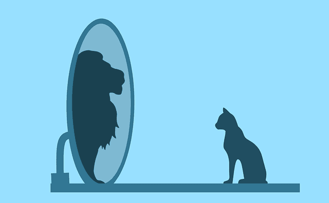 A cat looking into a mirror and seeing a reflection of a lion. Used in the article How to Excel in Tech Sales Engineering.