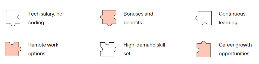 A banner from Careerist showing 6 benefits of being a sales engineer in the form of jigsaw blocks. Used in the article How to Excel in tech Sales Engineering.